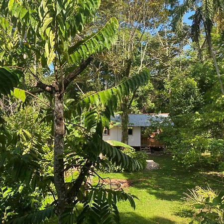Vila Caribbean Retreats Cocles Exteriér fotografie