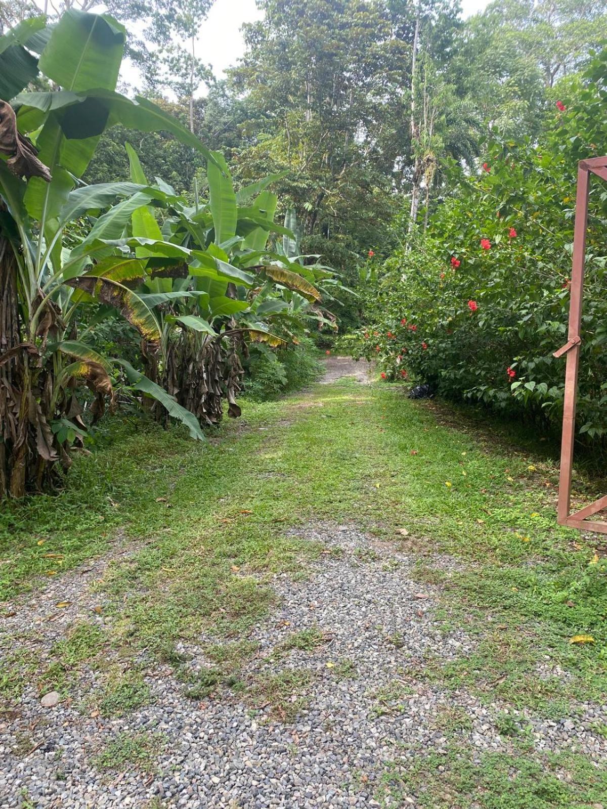 Vila Caribbean Retreats Cocles Exteriér fotografie